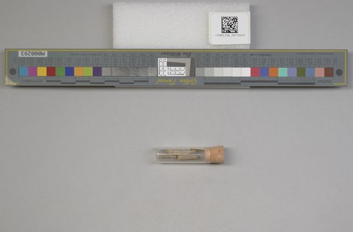 NSF ADBC EPICC TCN