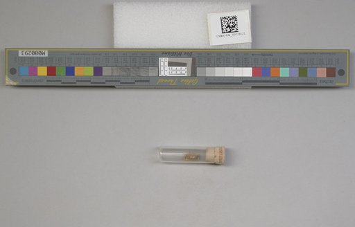 NSF ADBC EPICC TCN