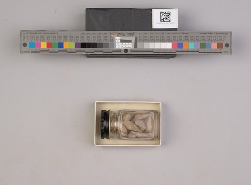 NSF ADBC EPICC TCN