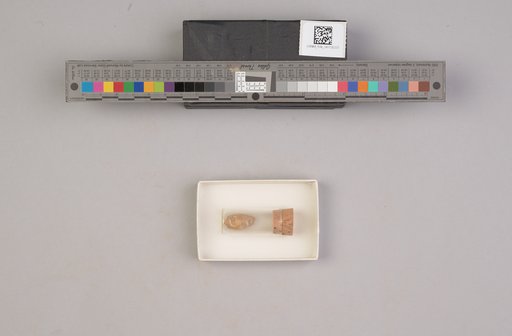 NSF ADBC EPICC TCN