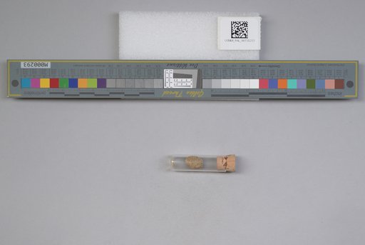 NSF ADBC EPICC TCN