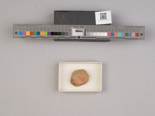 NSF ADBC EPICC TCN