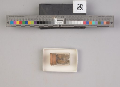 NSF ADBC EPICC TCN