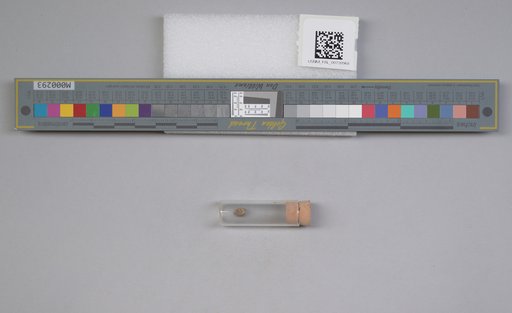 NSF ADBC EPICC TCN