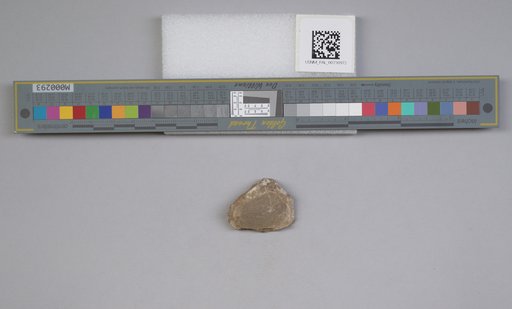 NSF ADBC EPICC TCN