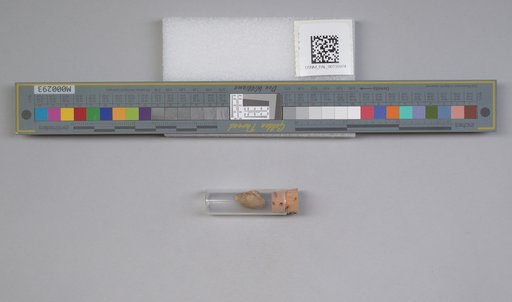 NSF ADBC EPICC TCN