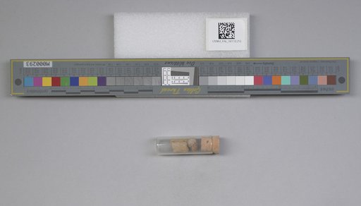 NSF ADBC EPICC TCN