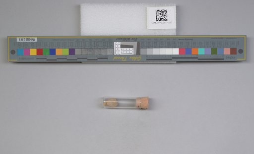NSF ADBC EPICC TCN