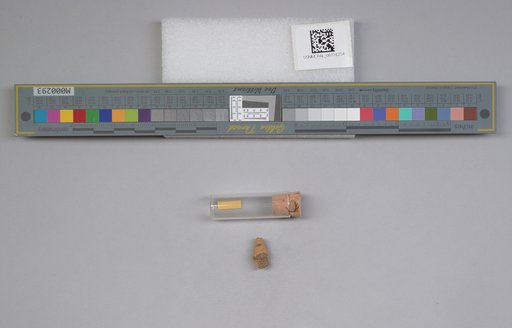 NSF ADBC EPICC TCN