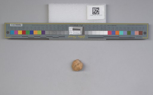 NSF ADBC EPICC TCN