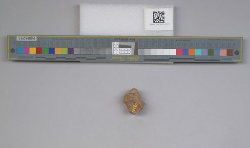 NSF ADBC EPICC TCN
