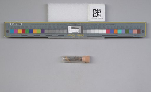 NSF ADBC EPICC TCN