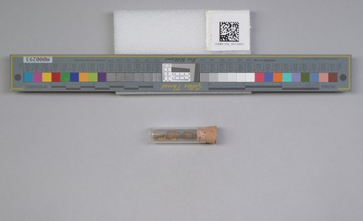 NSF ADBC EPICC TCN