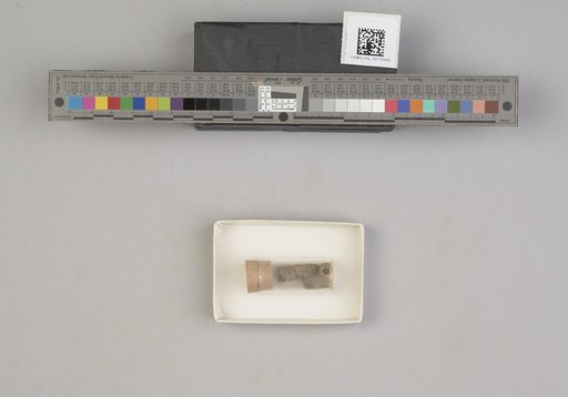 NSF ADBC EPICC TCN