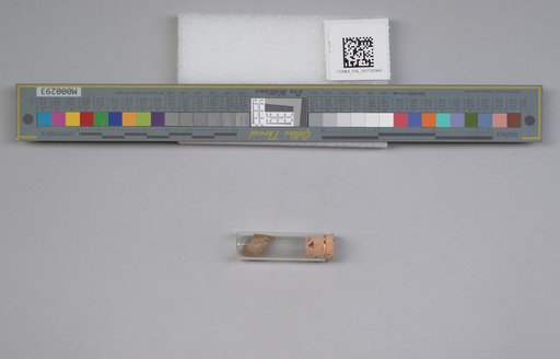 NSF ADBC EPICC TCN
