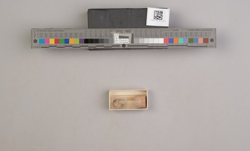 NSF ADBC EPICC TCN