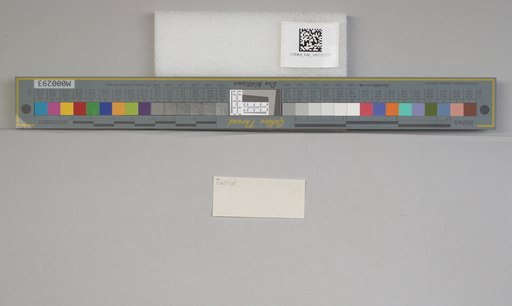 NSF ADBC EPICC TCN