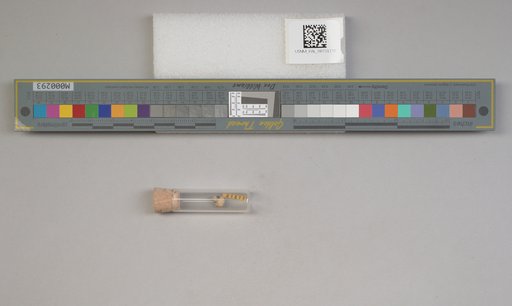 NSF ADBC EPICC TCN