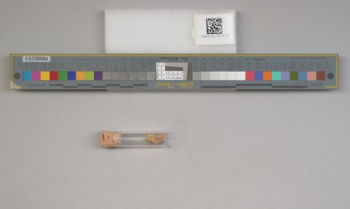 NSF ADBC EPICC TCN
