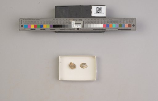 NSF ADBC EPICC TCN