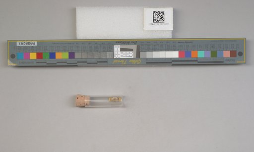 NSF ADBC EPICC TCN
