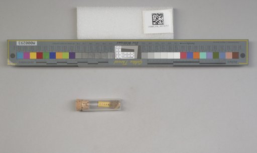 NSF ADBC EPICC TCN