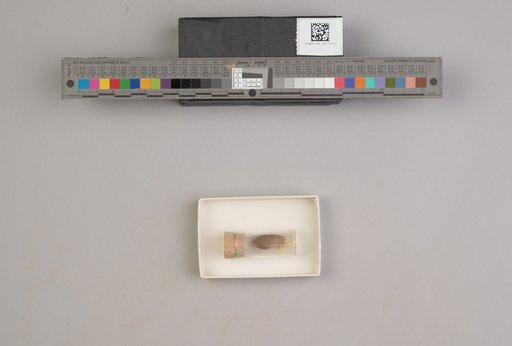 NSF ADBC EPICC TCN