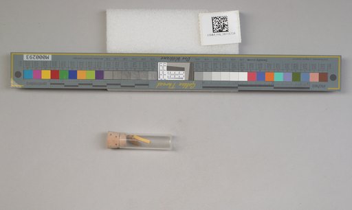NSF ADBC EPICC TCN