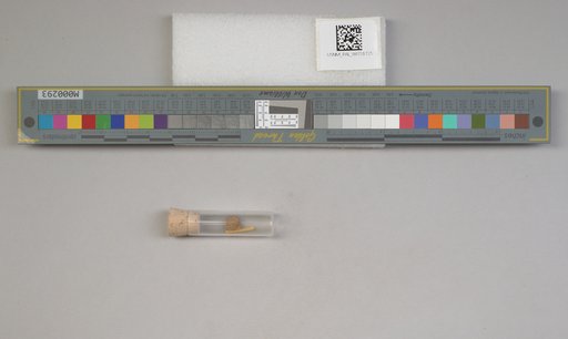 NSF ADBC EPICC TCN