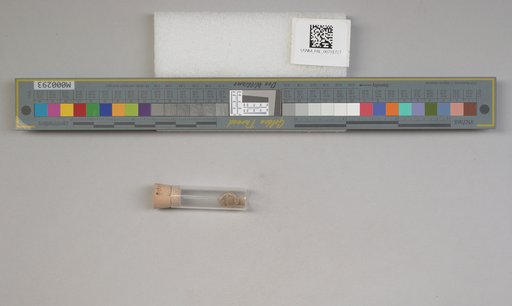NSF ADBC EPICC TCN