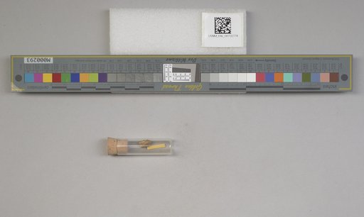 NSF ADBC EPICC TCN