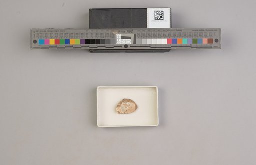 NSF ADBC EPICC TCN