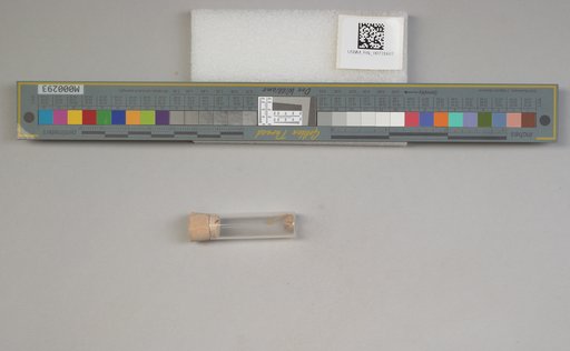 NSF ADBC EPICC TCN
