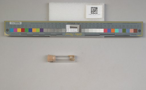 NSF ADBC EPICC TCN