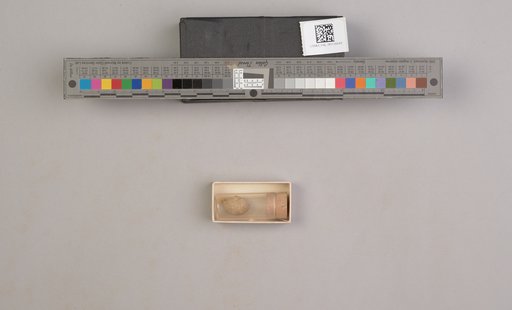 NSF ADBC EPICC TCN