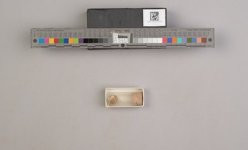NSF ADBC EPICC TCN