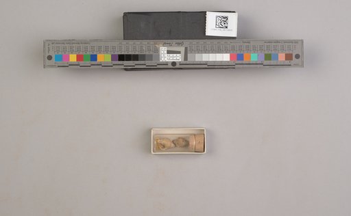 NSF ADBC EPICC TCN