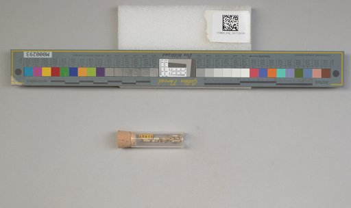 NSF ADBC EPICC TCN