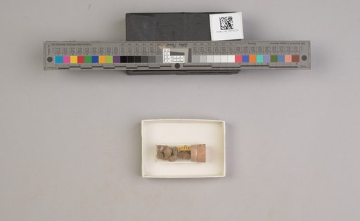 NSF ADBC EPICC TCN