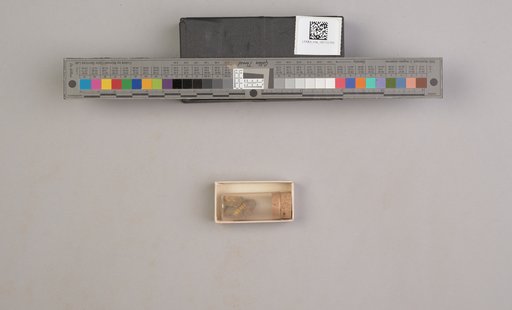 NSF ADBC EPICC TCN