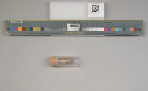 NSF ADBC EPICC TCN