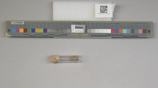 NSF ADBC EPICC TCN