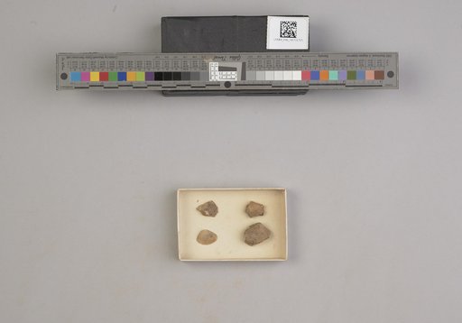 NSF ADBC EPICC TCN