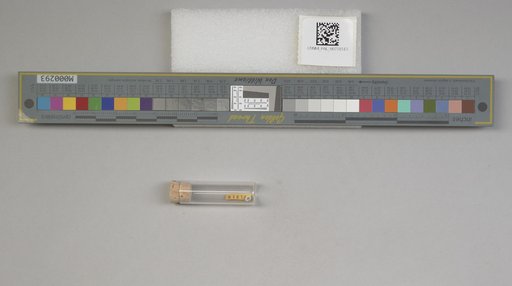 NSF ADBC EPICC TCN