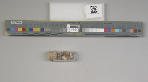NSF ADBC EPICC TCN