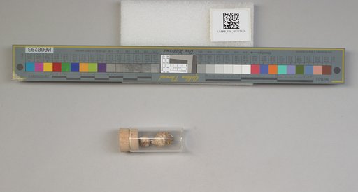 NSF ADBC EPICC TCN