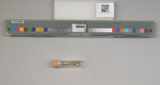 NSF ADBC EPICC TCN