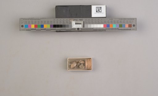 NSF ADBC EPICC TCN