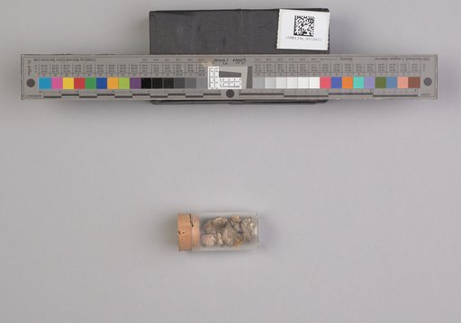 NSF ADBC EPICC TCN