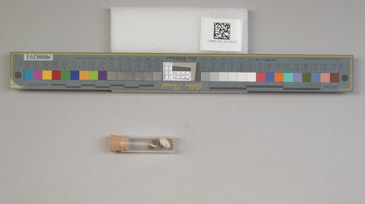 NSF ADBC EPICC TCN